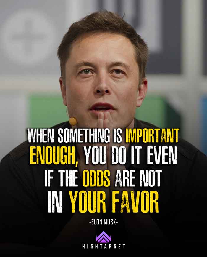 when something important enough, you do it - elon musk quotes