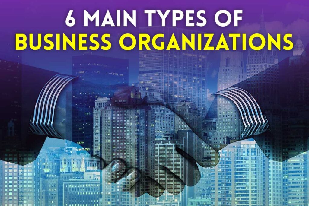 Types Of Business Organization